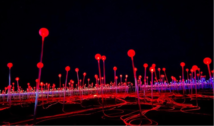 Light bulps illuminate the night