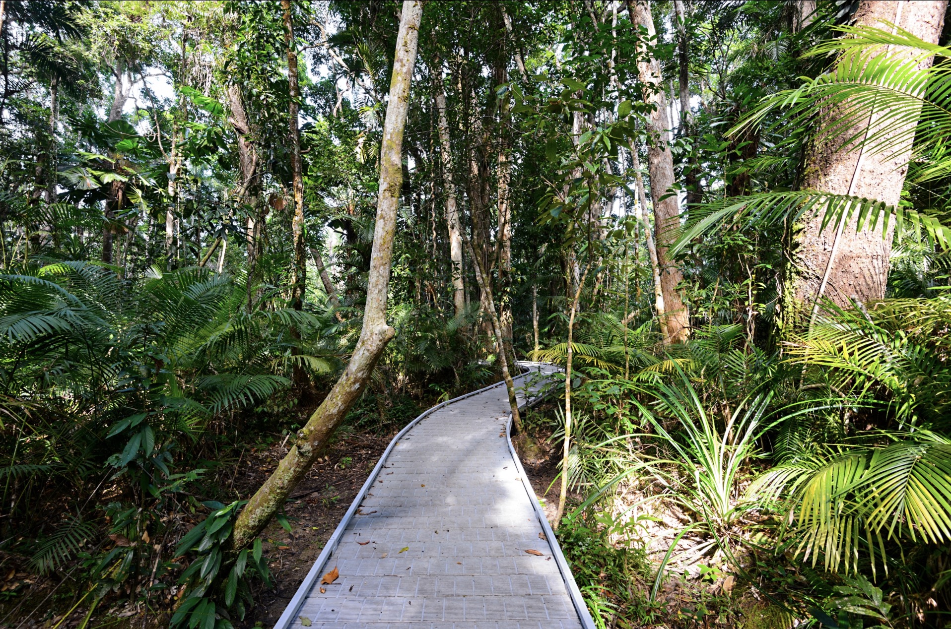 Some many stories in these woods