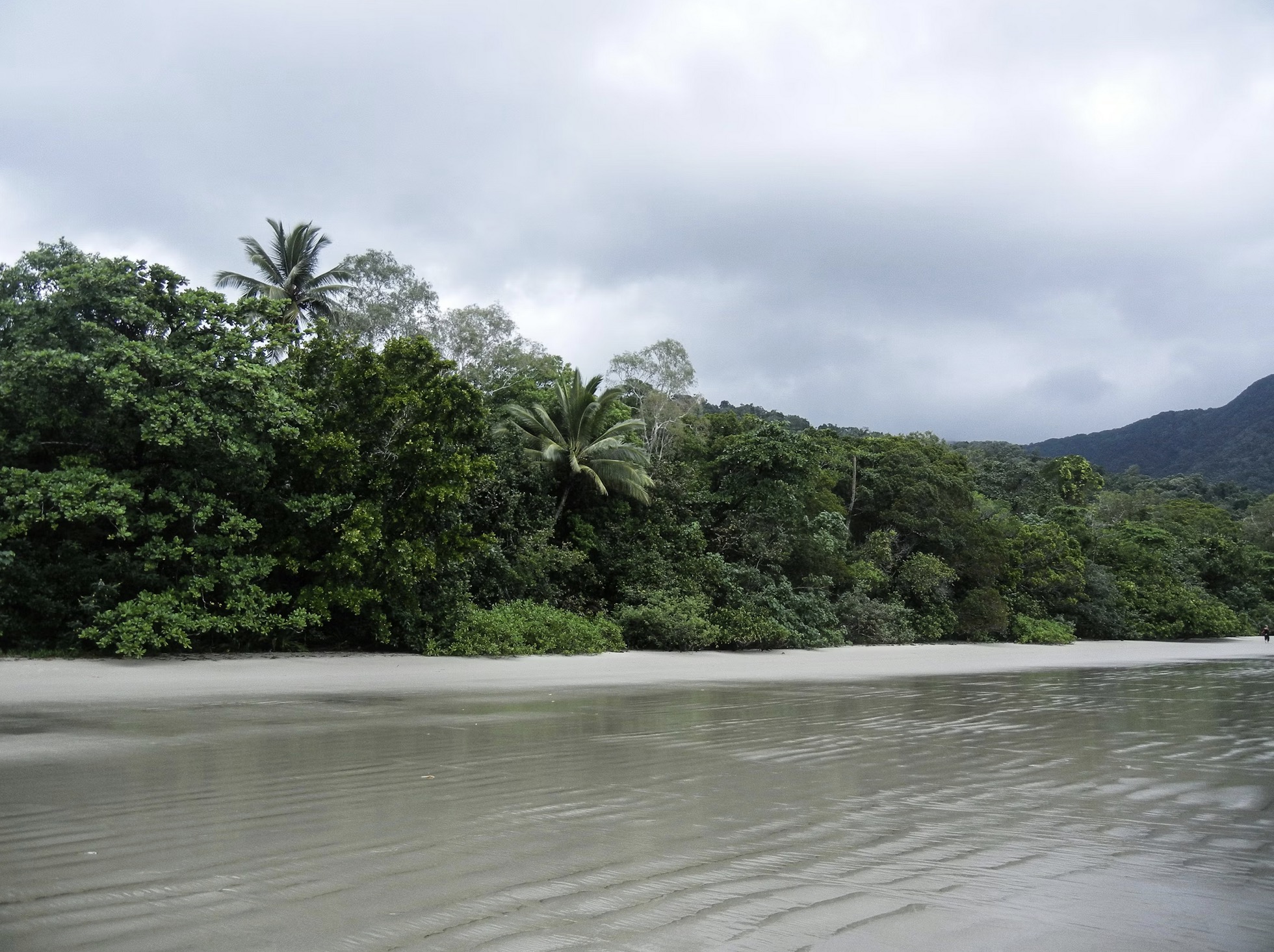 Peaceful walk on the beach