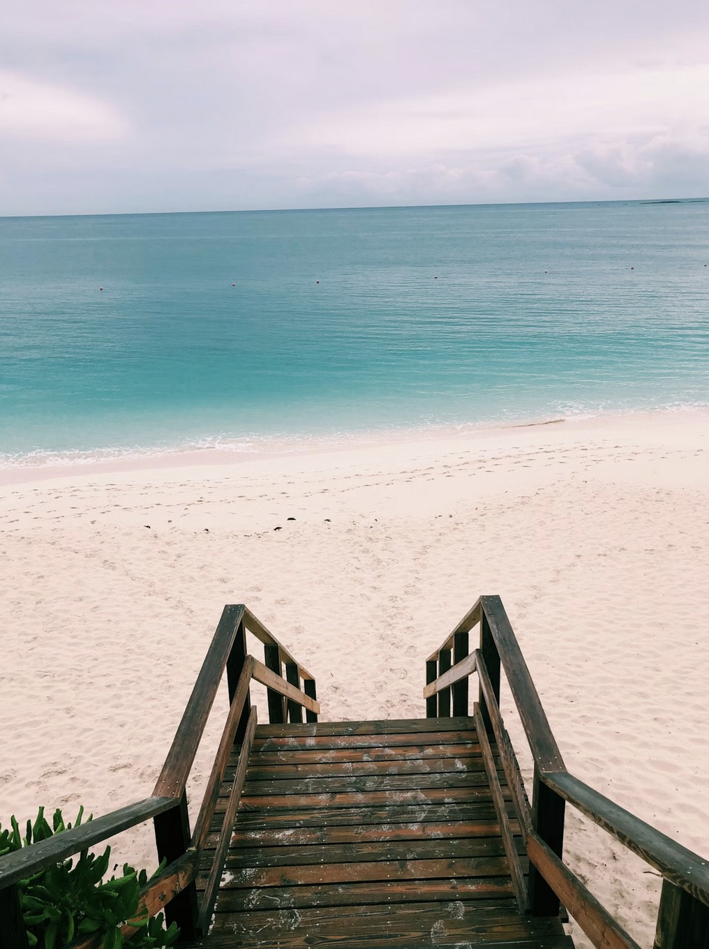 Arriving at the pink sands beach